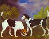 George Stubbs Canvas Paintings - Hound and Bitch in a Landscape